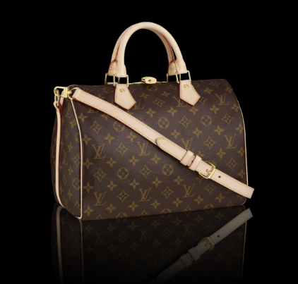 Speedy Bag Louis Vuitton