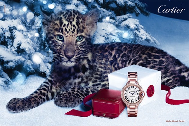Cartier Winter Tale 2012